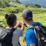 curso de orientación básica