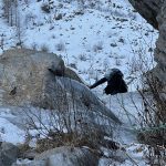 Curso de Alpinismo nivel 2